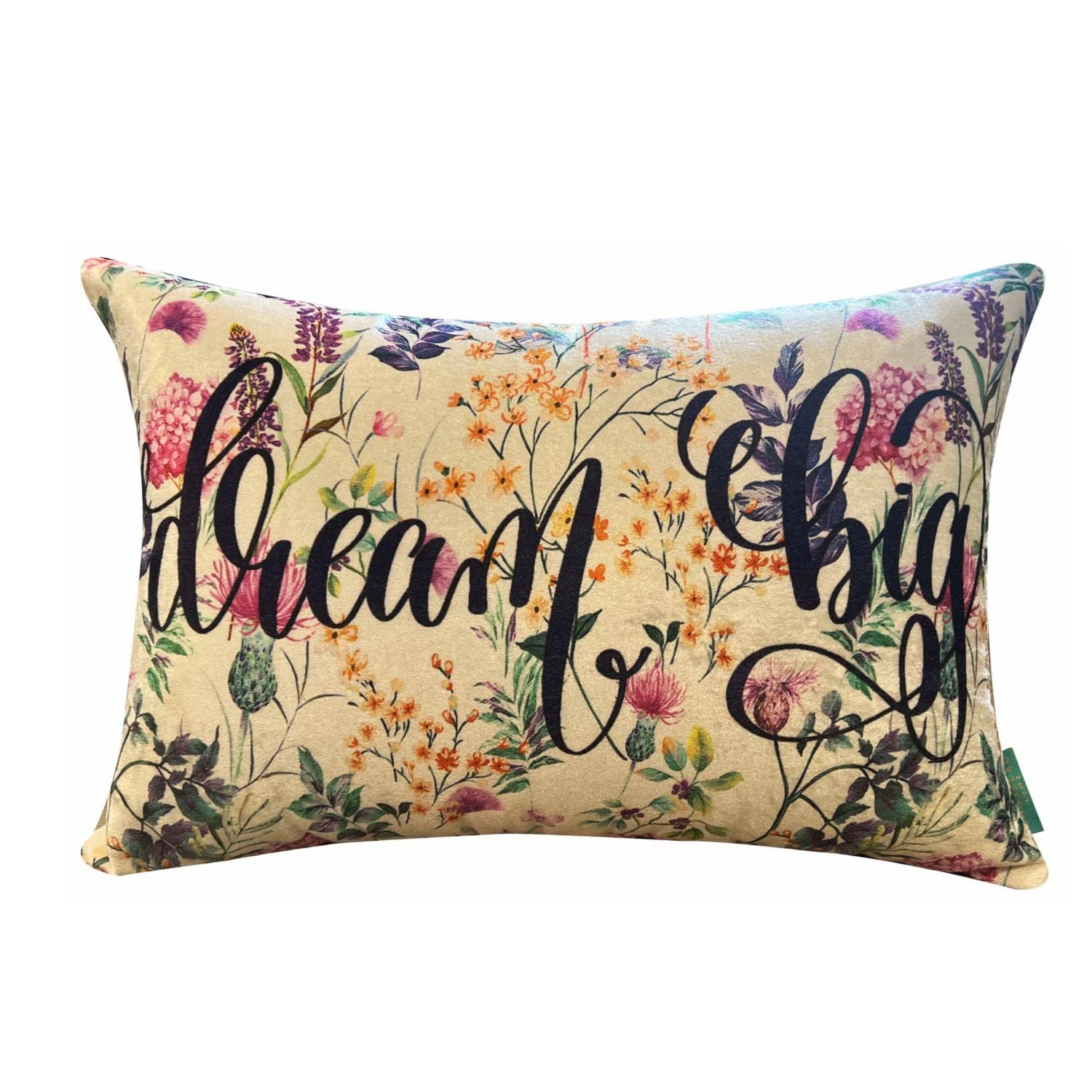 Dream Big Modern Chic Designer Velvet Cushion Cover