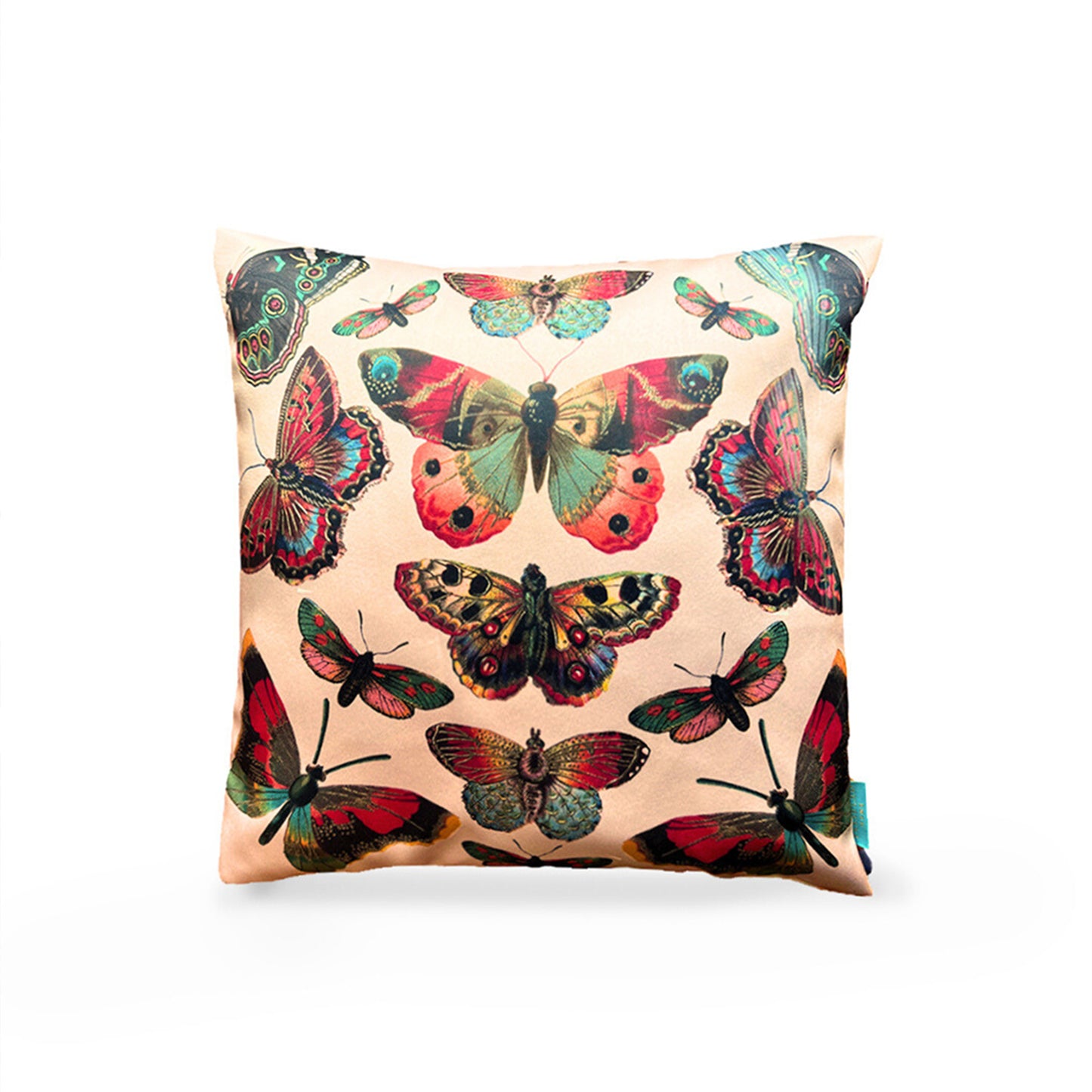 TITLI Set of 2 Cushion Covers